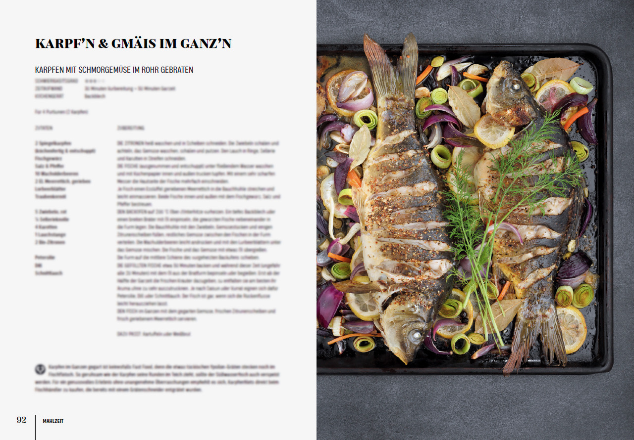 fei GUAD – Bild 10